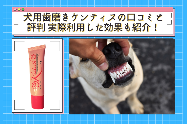 犬用歯磨きケンティスの口コミと評判 実際利用した効果も紹介 犬 口臭 サプリ 獣医師監修 動物病院取扱いのサプリメントどれが一番効果的
