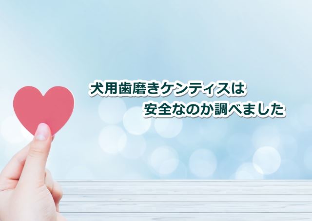 ケンティス 犬 安全