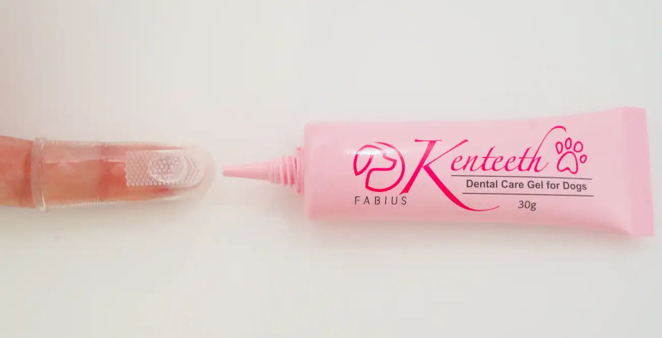 ケンティスに関するカテゴリー