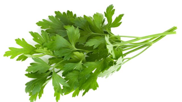 パセリ
